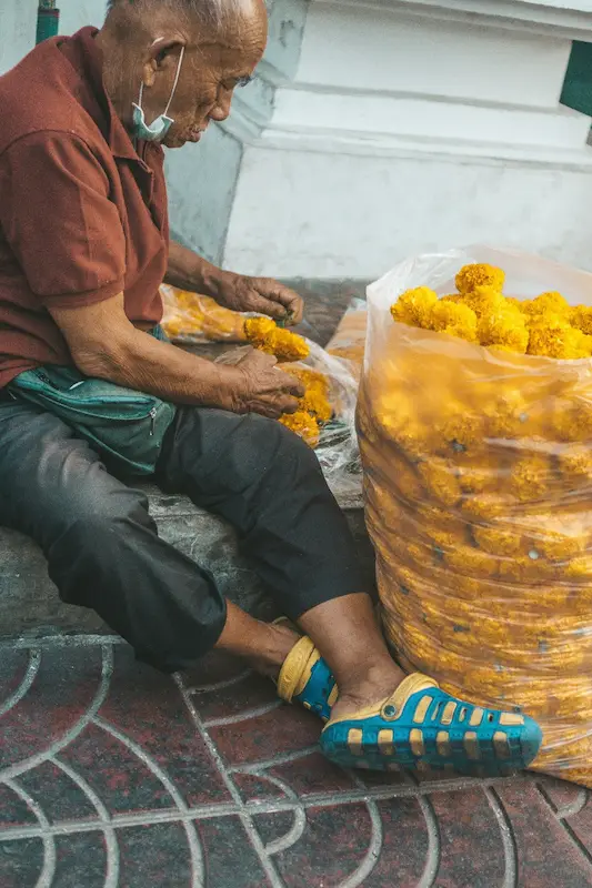 Harvested loofah gourds drying in the sun